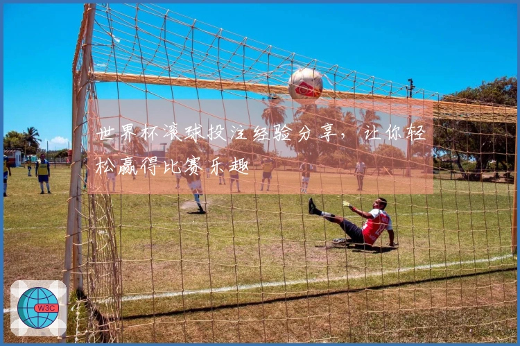 世界杯滚球投注经验分享，让你轻松赢得比赛乐趣