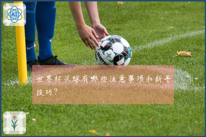 世界杯买球有哪些注意事项和新手技巧？