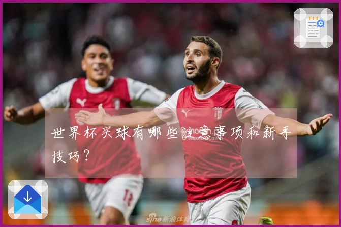 世界杯买球有哪些注意事项和新手技巧？